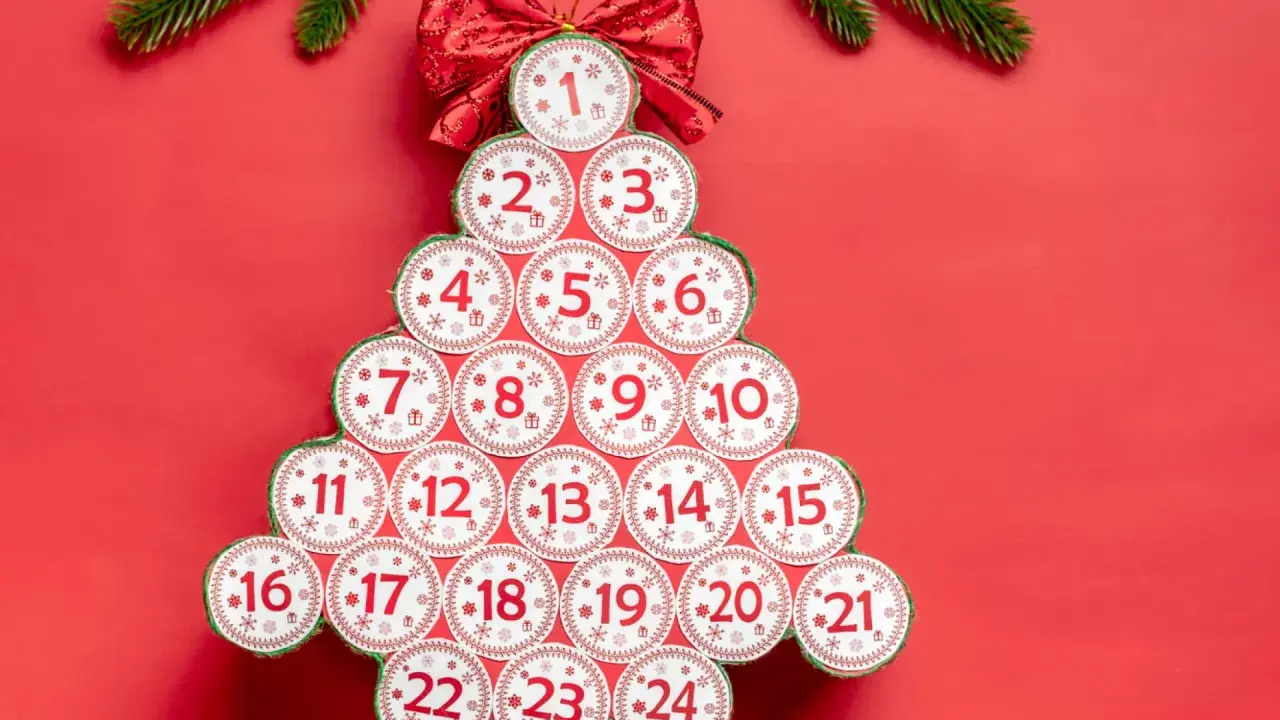 Kreativer Adventskalender aus Klorollen, geformt wie ein Weihnachtsbaum, mit nummerierten Türchen von 1 bis 24.