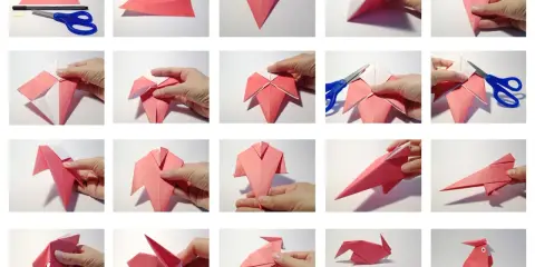 Schritt-für-Schritt-Anleitung zum Falten eines niedlichen Papagei-Origami.