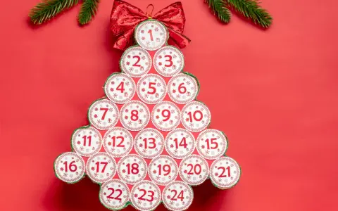 Kreativer Adventskalender aus Klorollen, geformt wie ein Weihnachtsbaum, mit nummerierten Türchen von 1 bis 24.