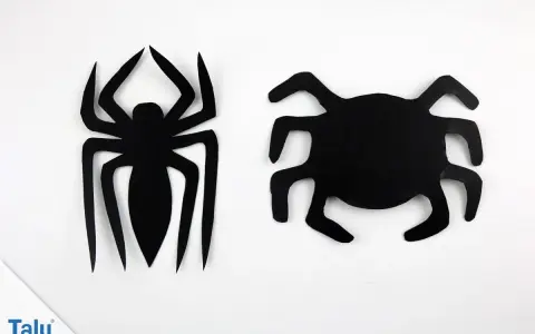 Zwei schwarze Spinnen-Vorlagen, eine detaillierter, die andere einfacher, auf weißem Hintergrund.
