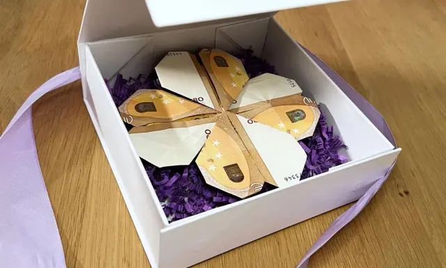 Ein Geschenk: Geld falten blatt in Form eines Kleeblatts, liebevoll in einer weißen Schachtel mit lila Füllung und Band arrangiert.
