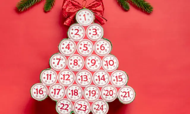 Kreativer Adventskalender aus Klorollen, geformt wie ein Weihnachtsbaum, mit nummerierten Türchen von 1 bis 24.